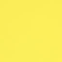 Bloom BLM-19