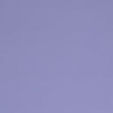 Bloom BLM-51