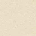Desert Sand