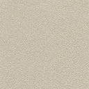 Desert Sand
