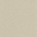 Desert Sand