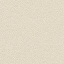 Desert Sand