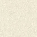 Desert Sand