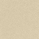 Desert Sand