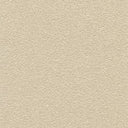 Desert Sand