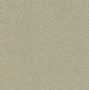 Desert Sand