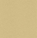 Desert Sand