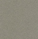 Desert Sand