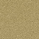 Desert Sand