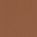 Desert Sand