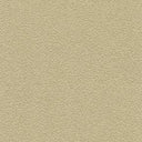 Desert Sand