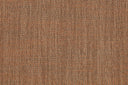 Taiga 01