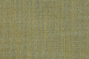 Taiga 01