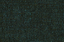 Bhaluka 01
