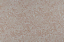 Nebulosa - Filigrana Collection